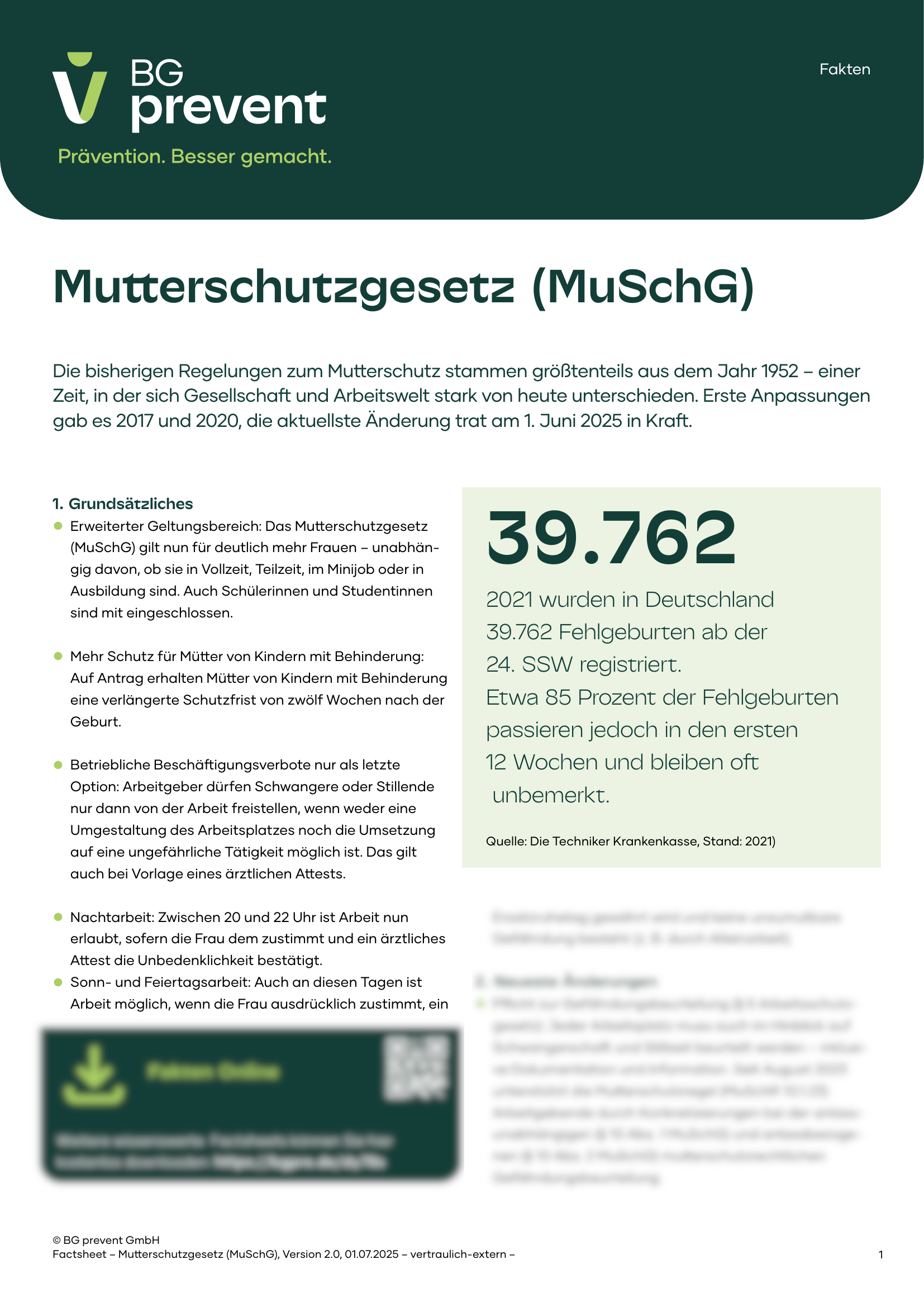 BGP_FactSheet_Mutterschutz_Web__seite_1_partly_blurred