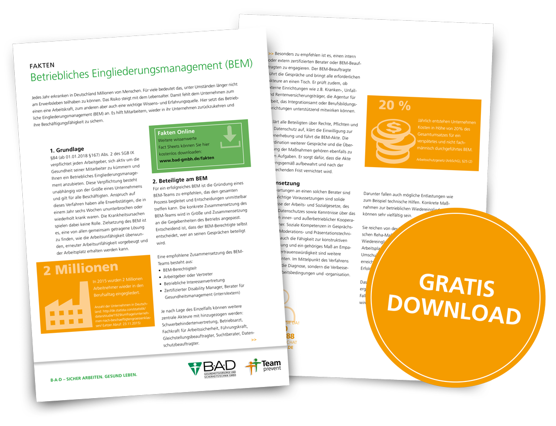 Factsheet | Betriebliches Eingliederungsmanagement (BEM) Factsheet | Betriebliches Eingliederungsmanagement (BEM)