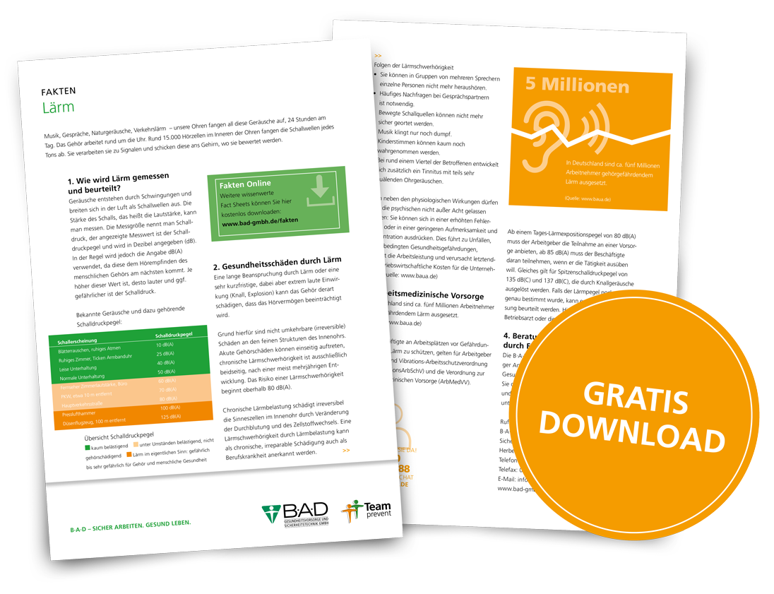 Factsheet | Lärm am Arbeitsplatz